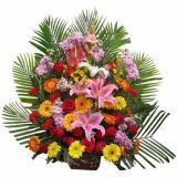 ˮʻٵ